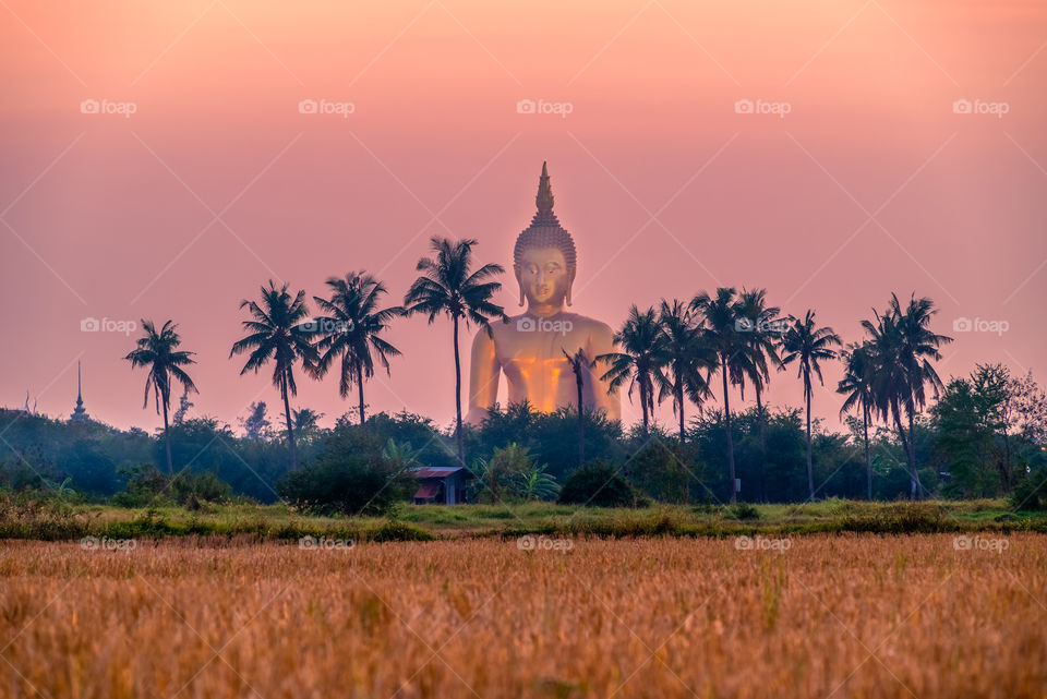 Beautiful big gloden buddha scene in Thailand