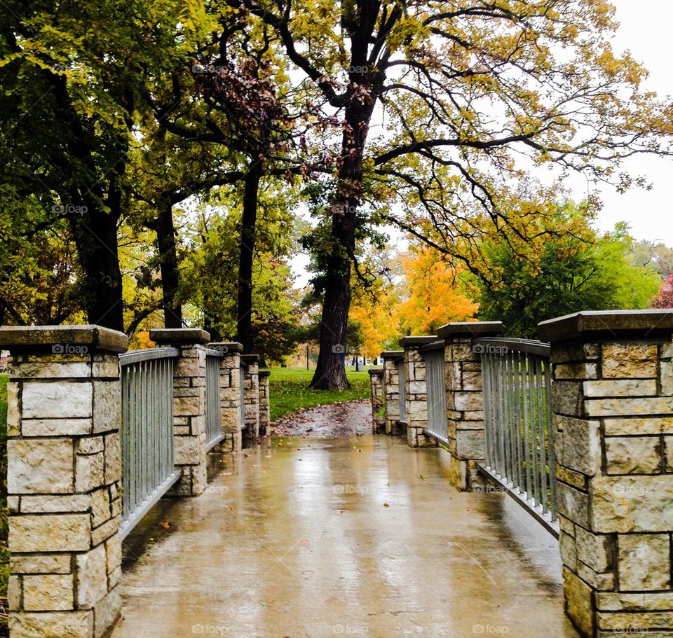 Rainy Bridge