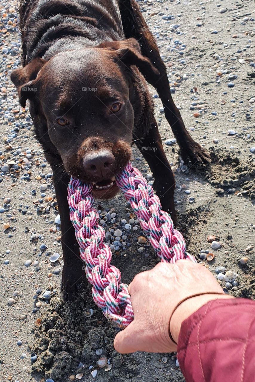 Hey, I'm playing on the beach!