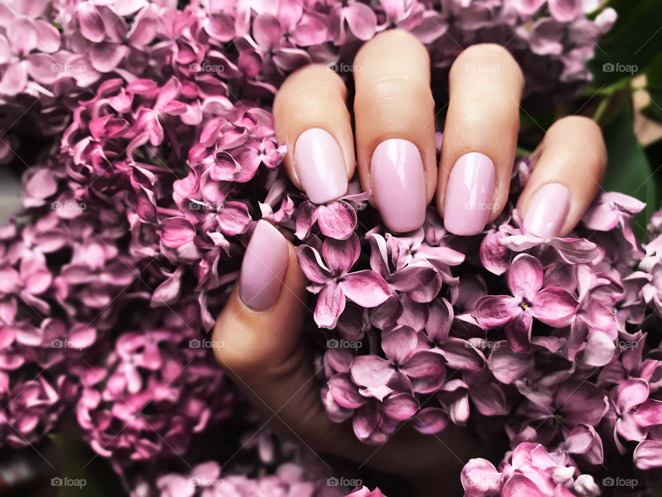 Female hand with pink manicure holding pink flowers 