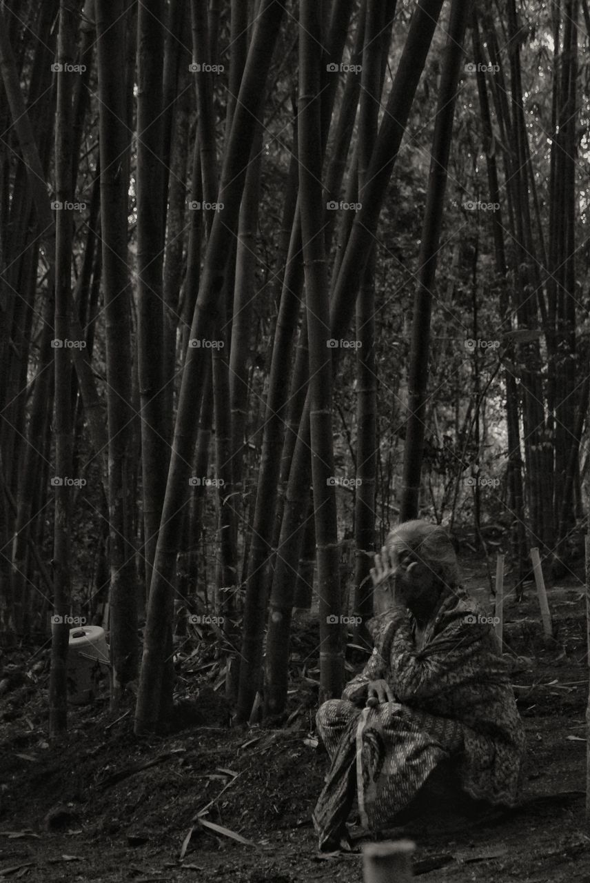 nenek tua dikebun bambu