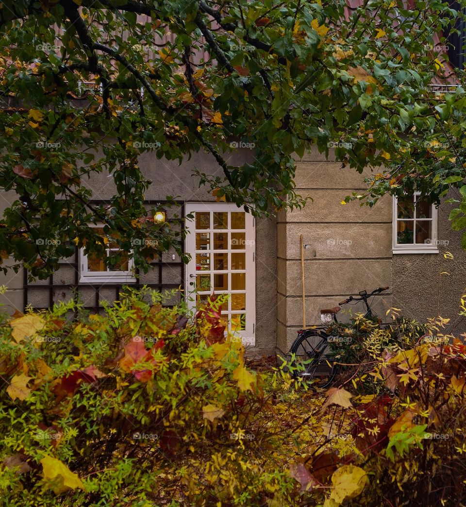 A perfect frame in a garden in Oslo/Norway a late fall day . 
The colorful pics ,the leafs,the bike and the Windows, its all fit in together. 
Harmony I think ❤️