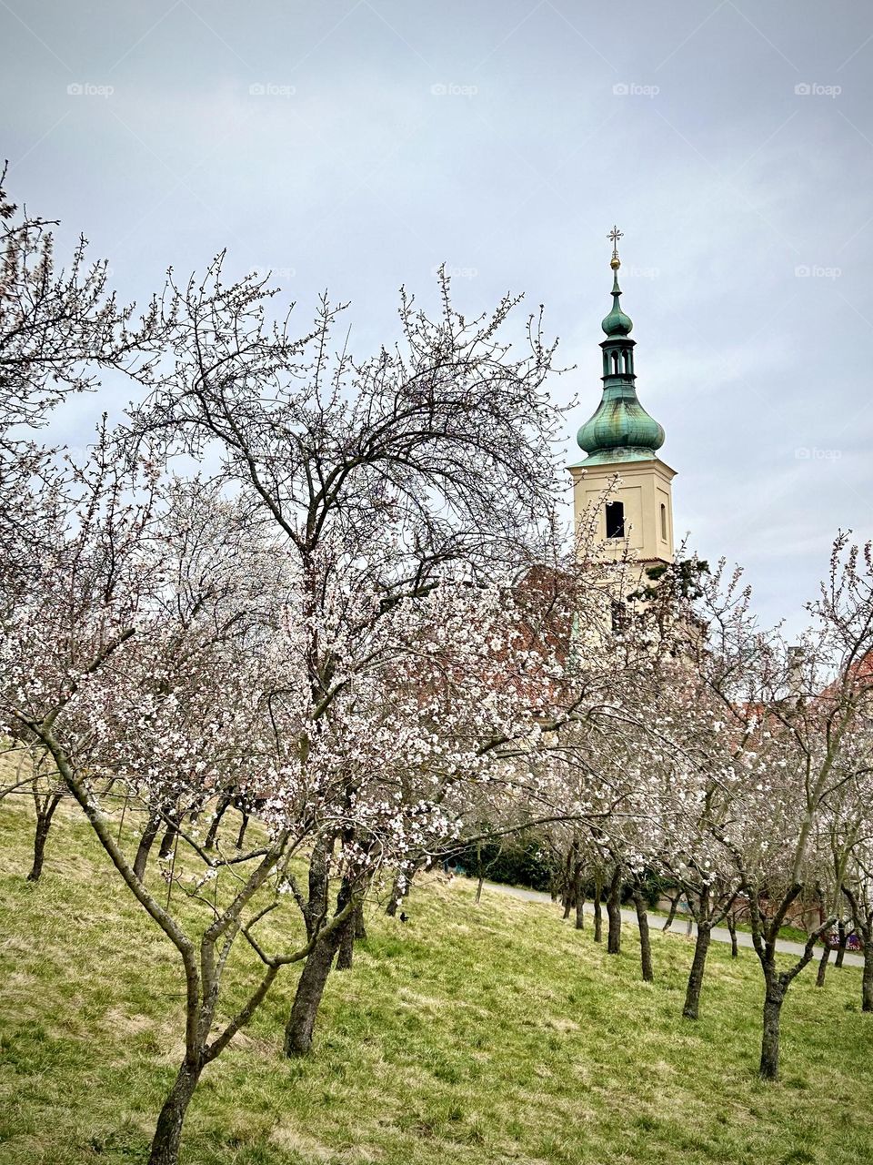 Prague , March 2023 . 