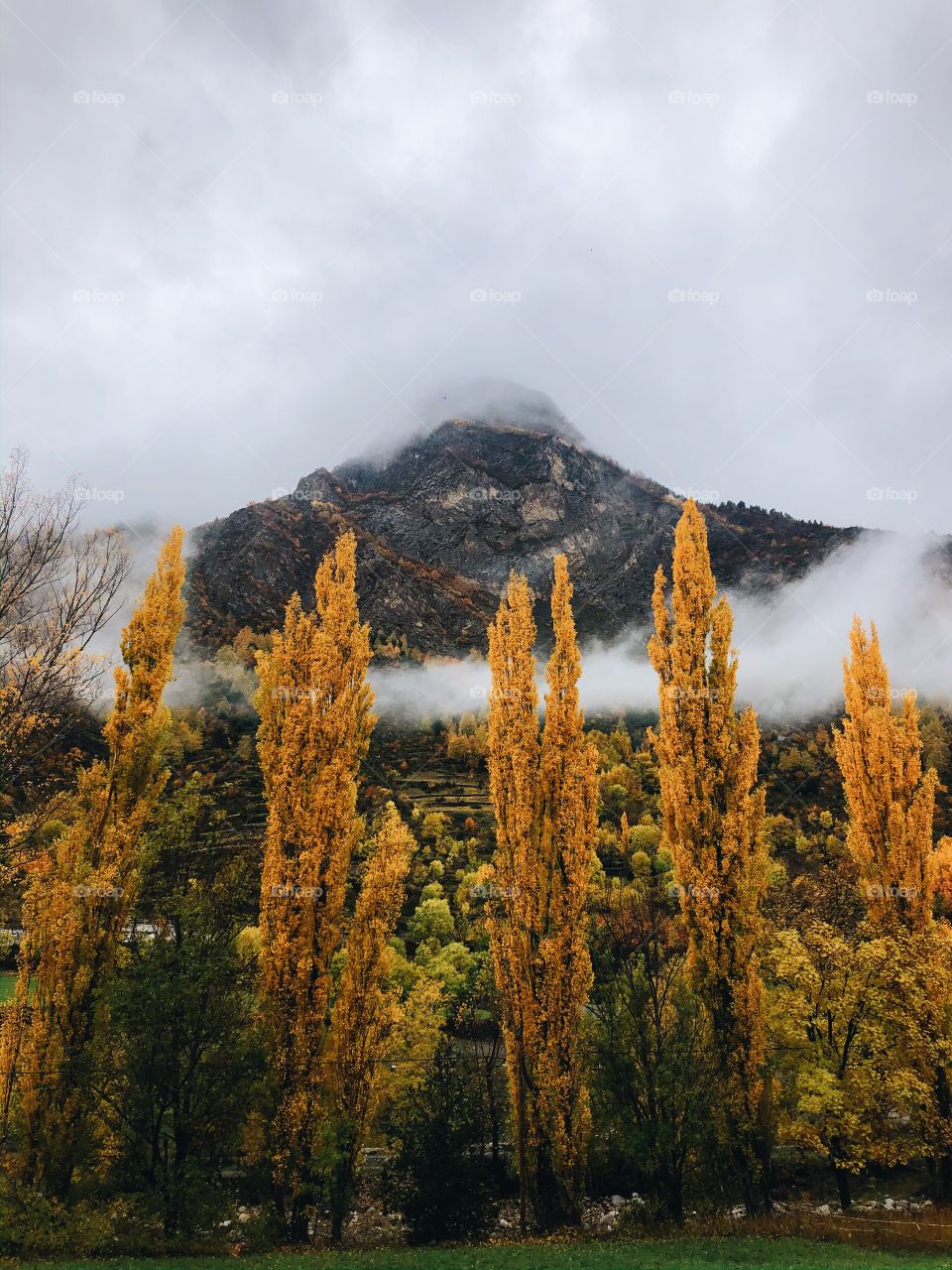 Autumn in Pyrenees 