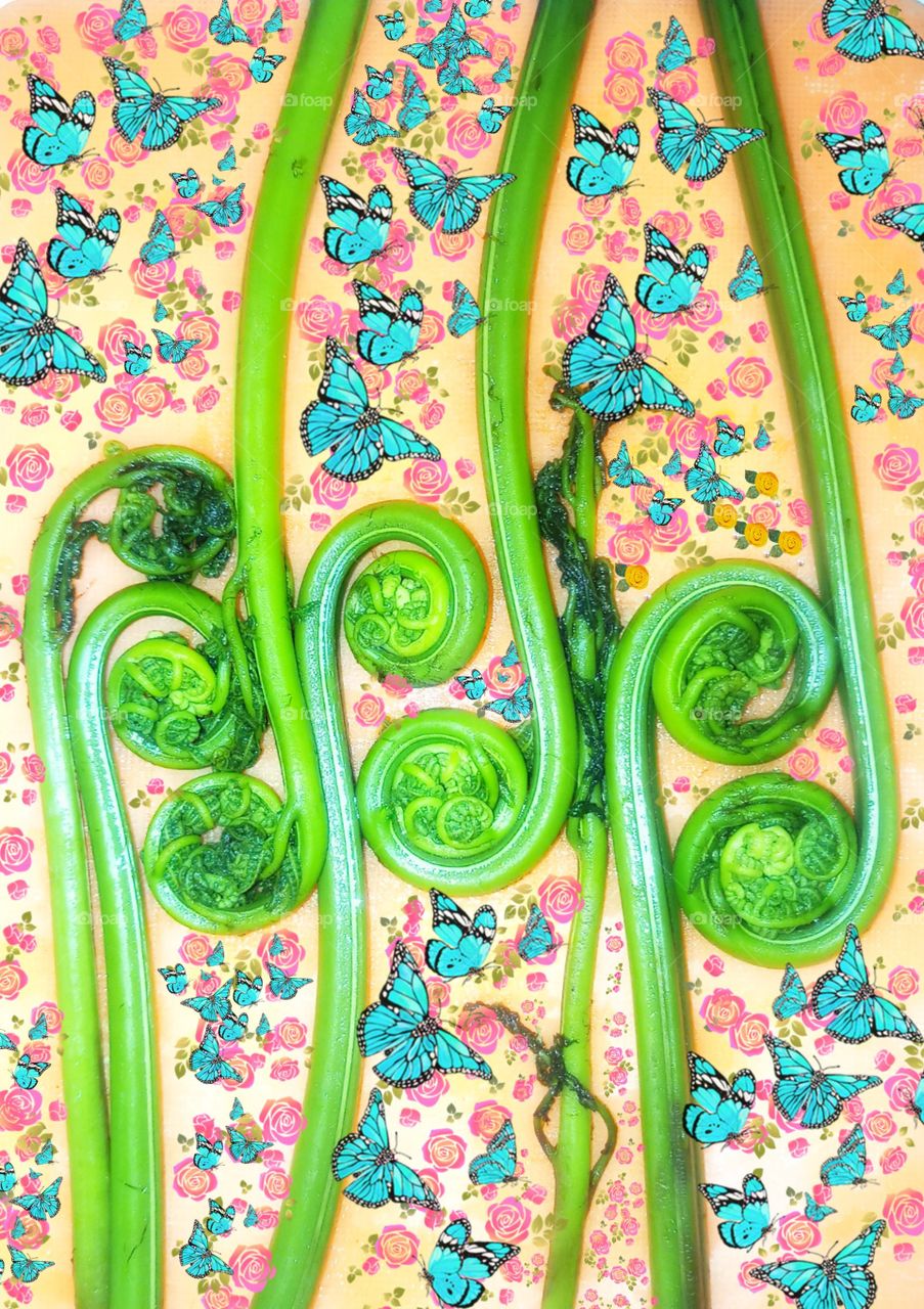 Fiddlehead Ferns have  high health benefits.