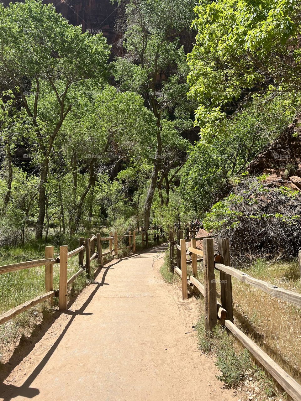 Trail to Angels Landing 