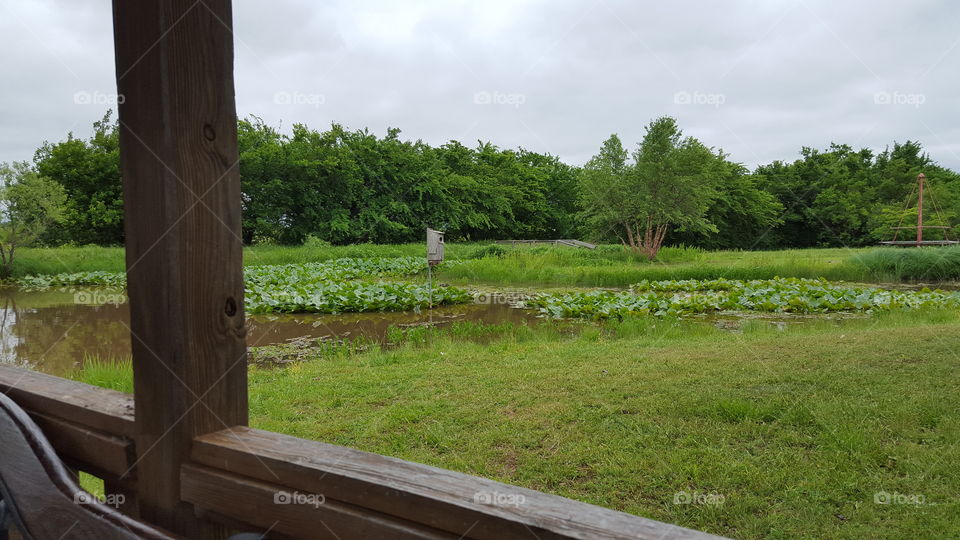 outdoor classroom at mustang creek elementary school