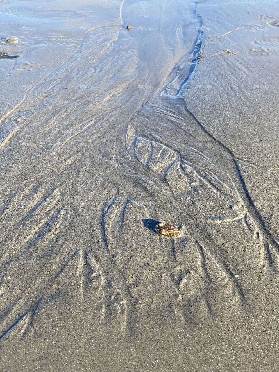Creative sand patterns beach walk Maine