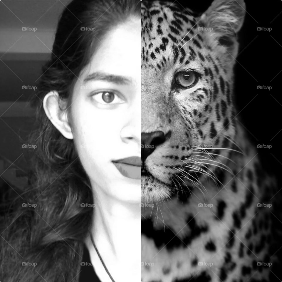 opsil art editor profile pic