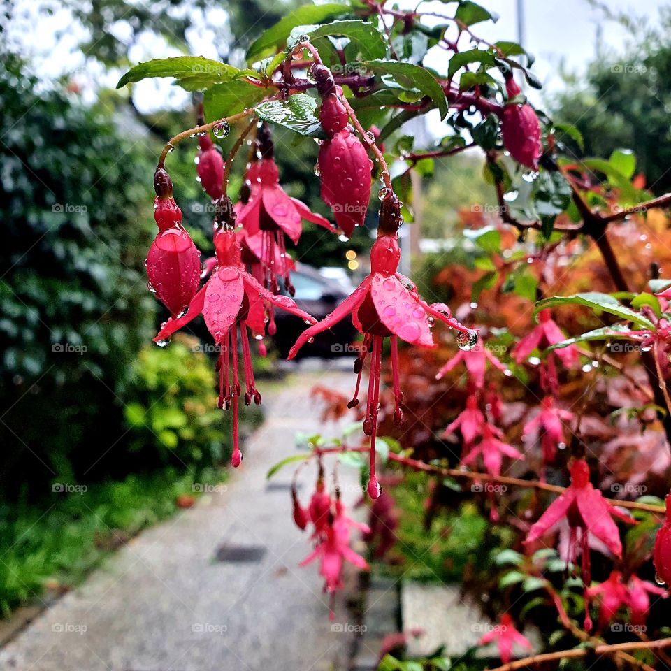 It's autumn time in the Netherlands.