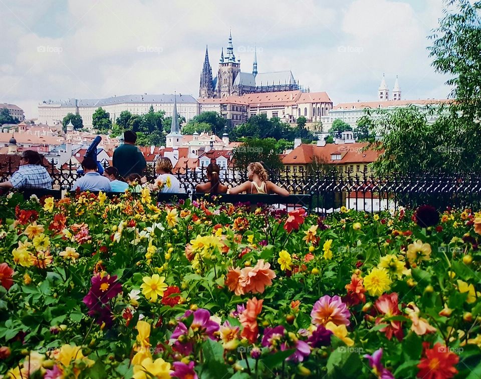 Beautiful garden in Prague...