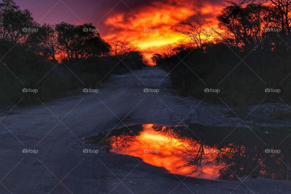 red reflection on water after rain