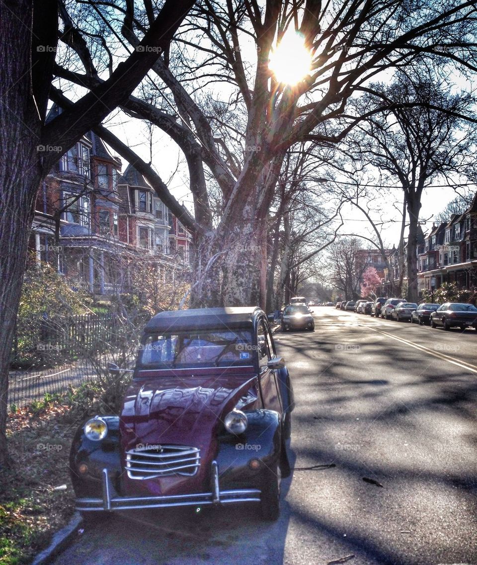 Citroen 2CV in the morning