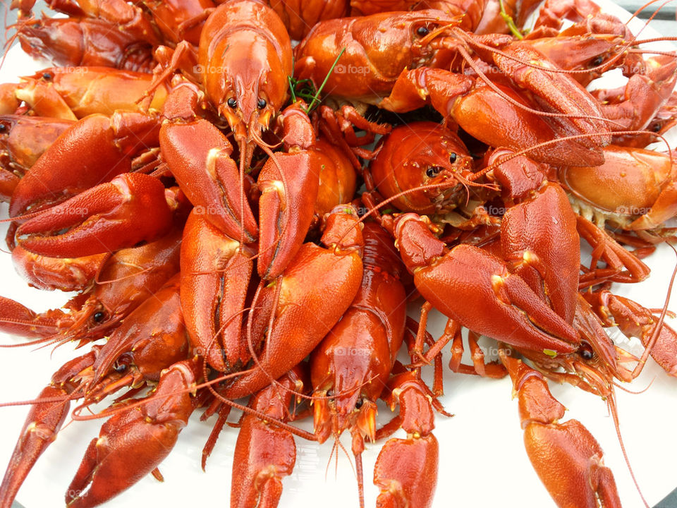 Crayfish party