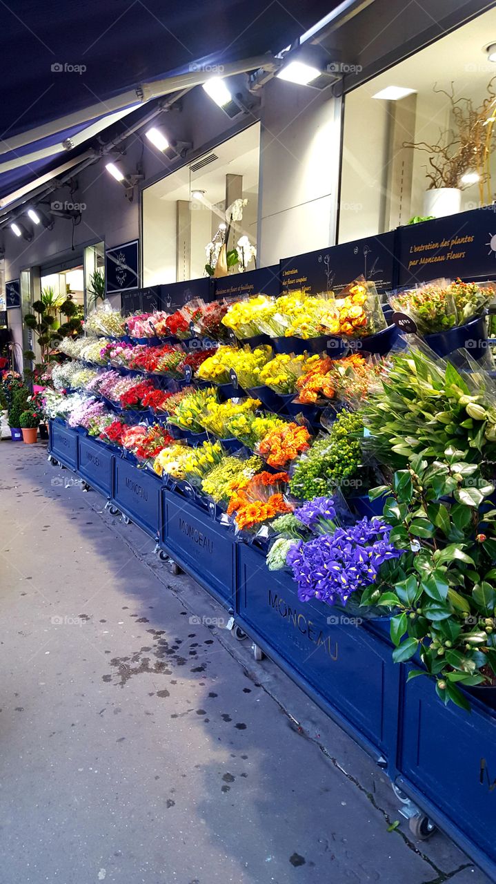 Florist in Paris