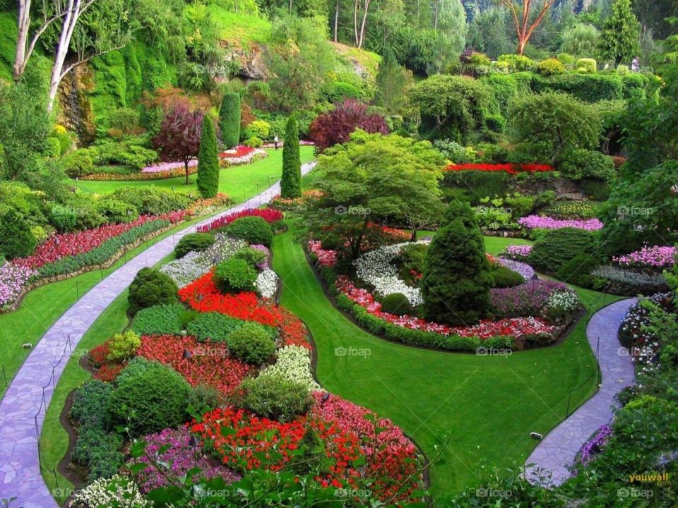 A spectacular garden designed for people with landscaping needs.