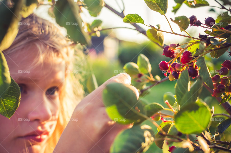 Berries