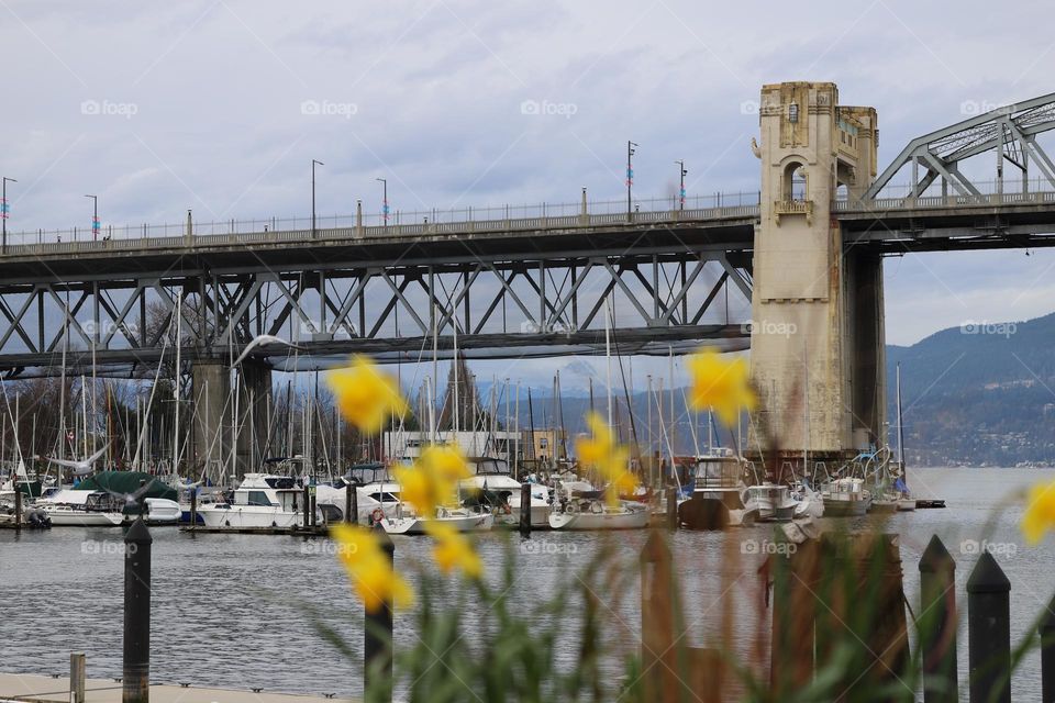 Bridge in spring 