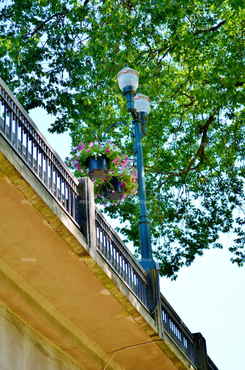 Under the 7th Street Bridge