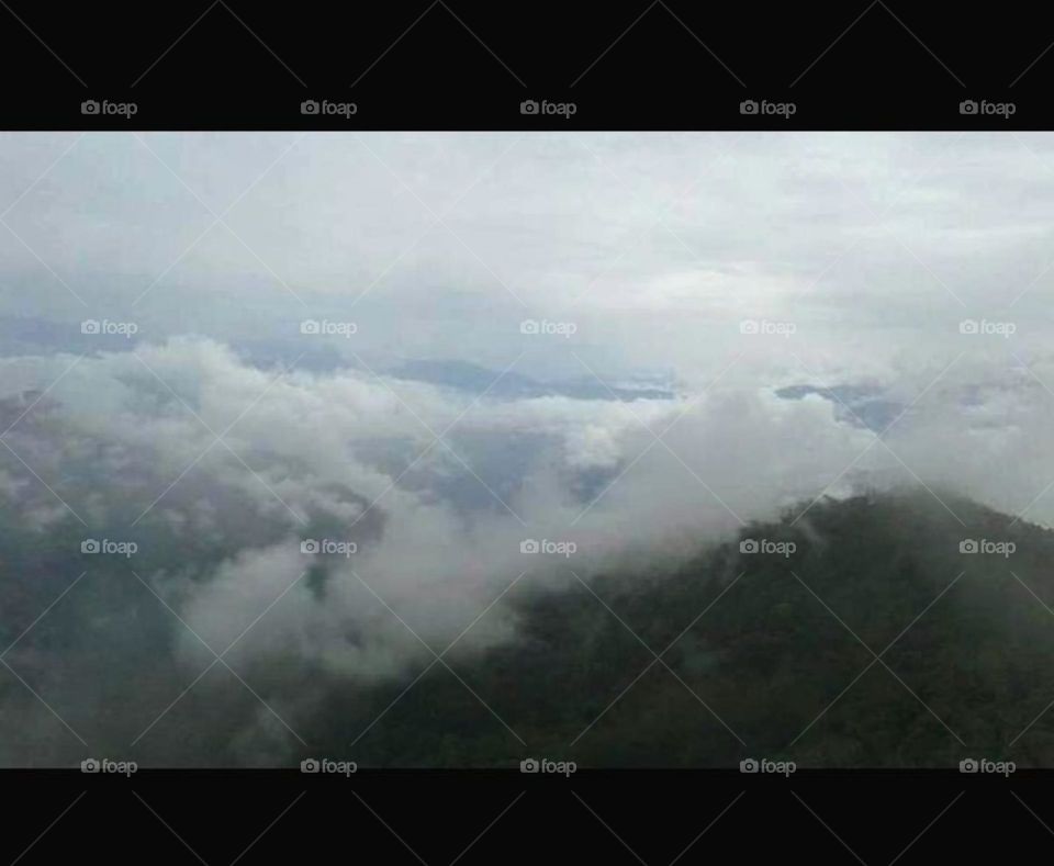 Vacation On top up Hill's