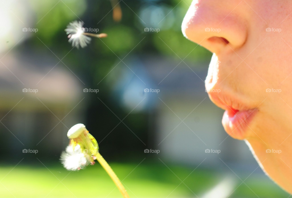 girl dandelion dream hope by lightanddrawing