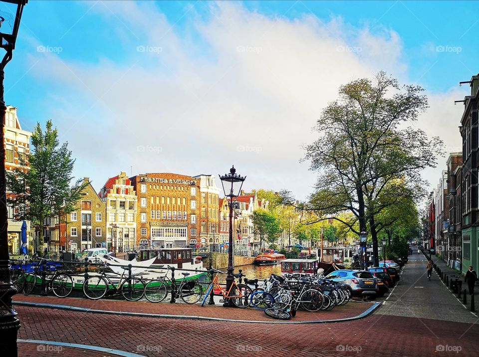 This sky just makes everything shine