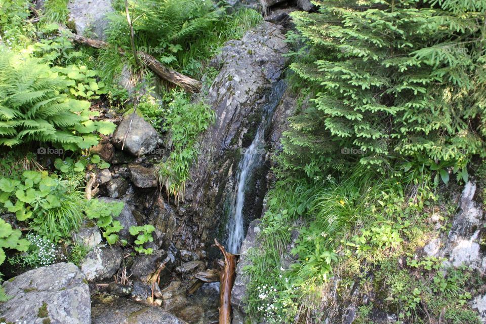 waterfall in the mountains