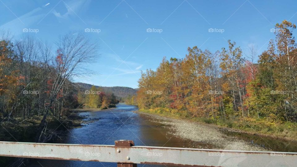 Fall 2017, United states