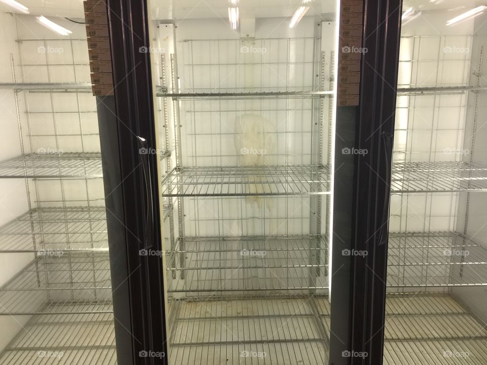 Empty Freezer 