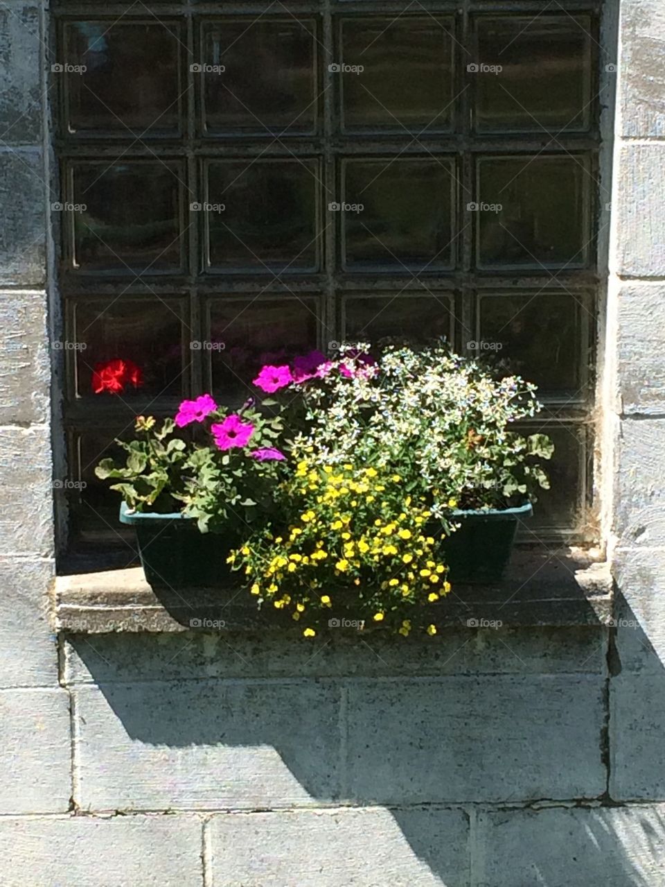 Window sill posies