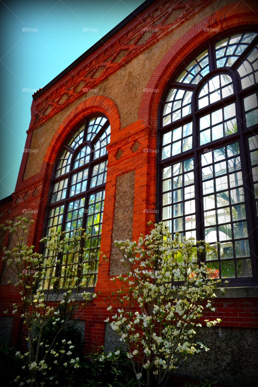 Greenhouse, Biltmore House
