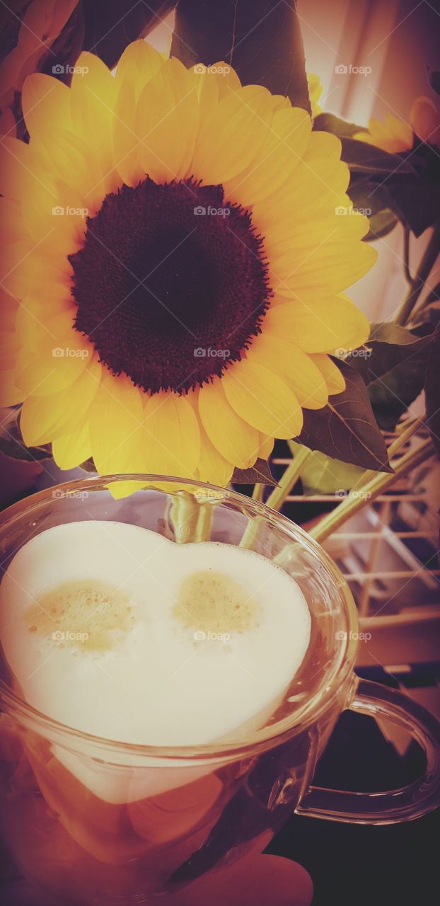 sunflower and coffee