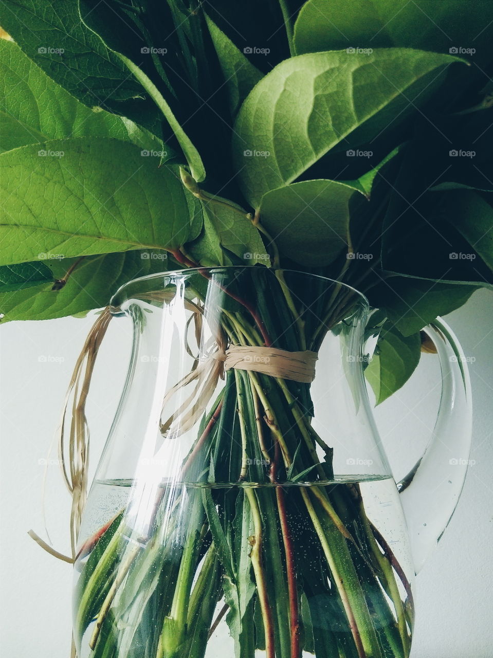 Leaf bundle in glass vase