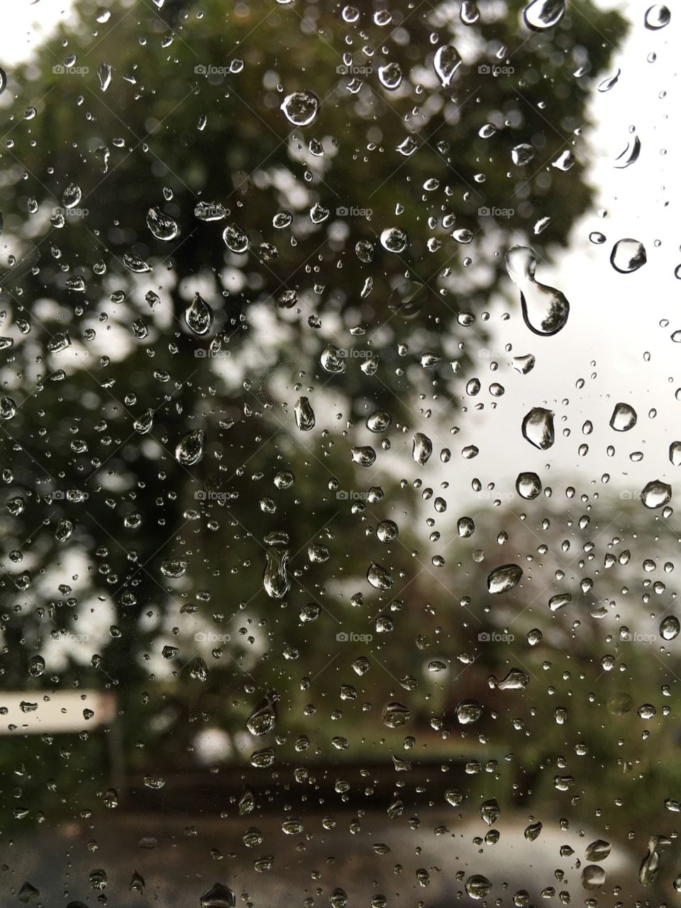 Dew drops on glass texture