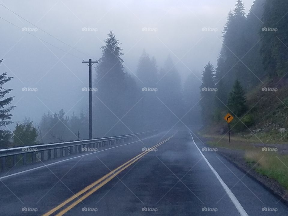road, trip, travel, fog, summer, trees, mountains, country
