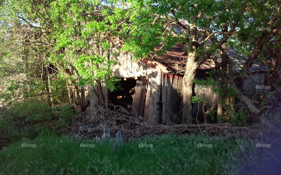 old barn. hidden barn