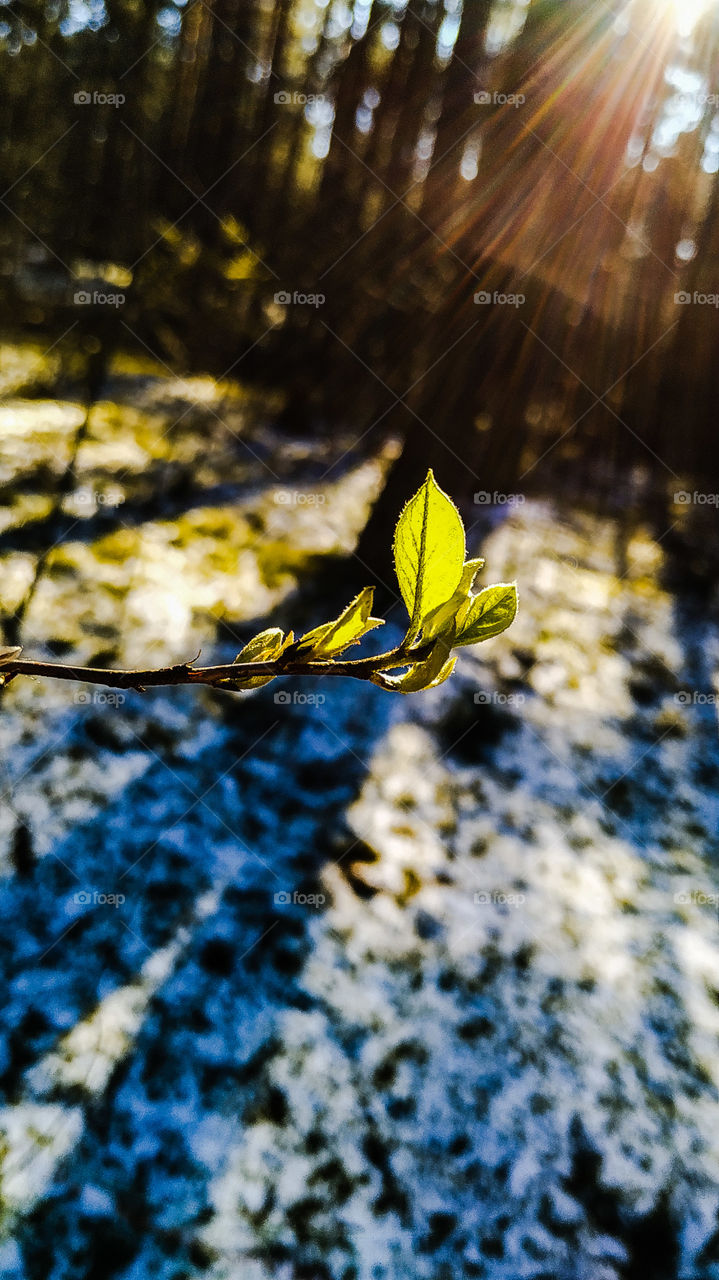 Life will get warmer