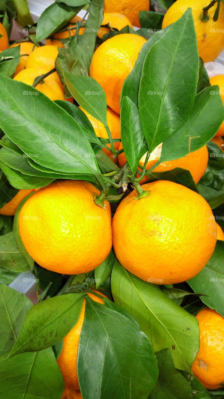 фрукты.мандарины.новый год