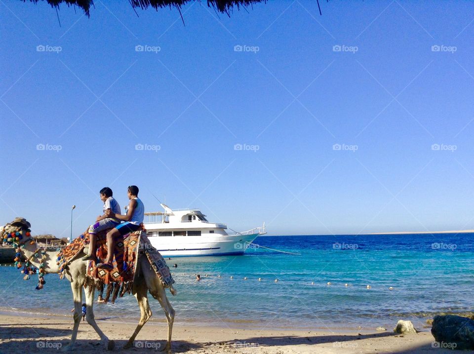 Riding camels on the beach is a joyful experience for children during our summer vacation 