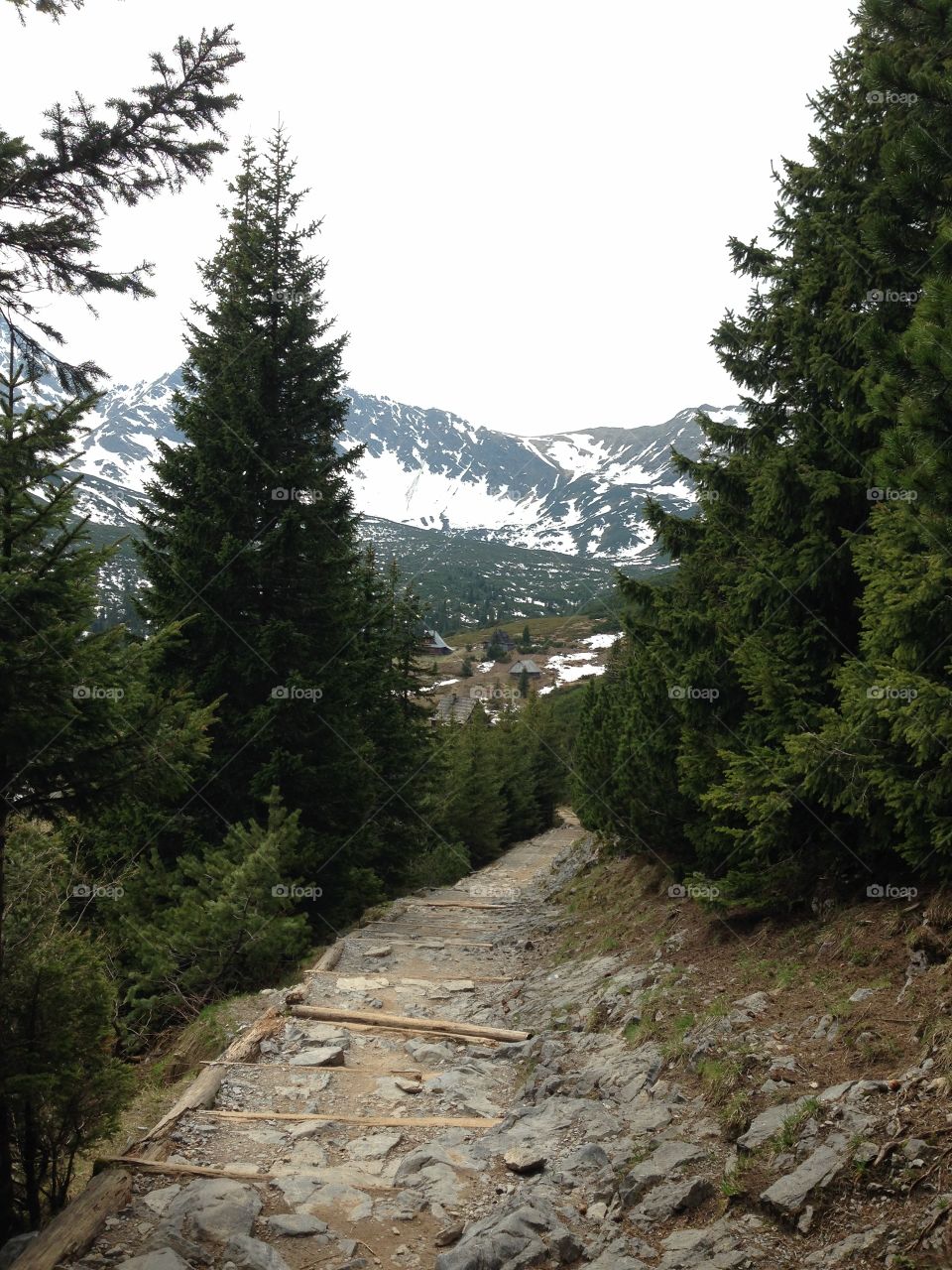 descending trail