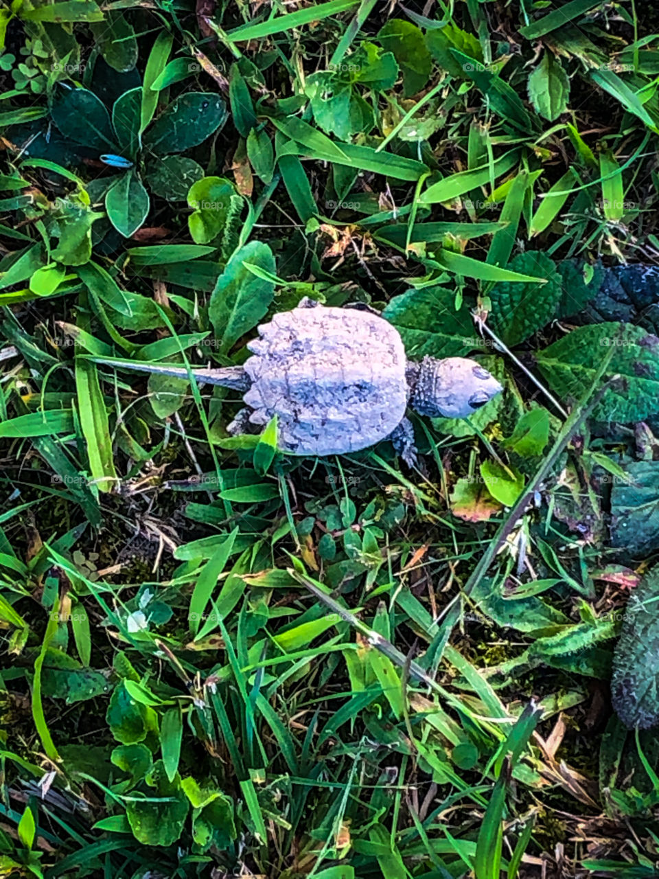 Slowly, but surely...