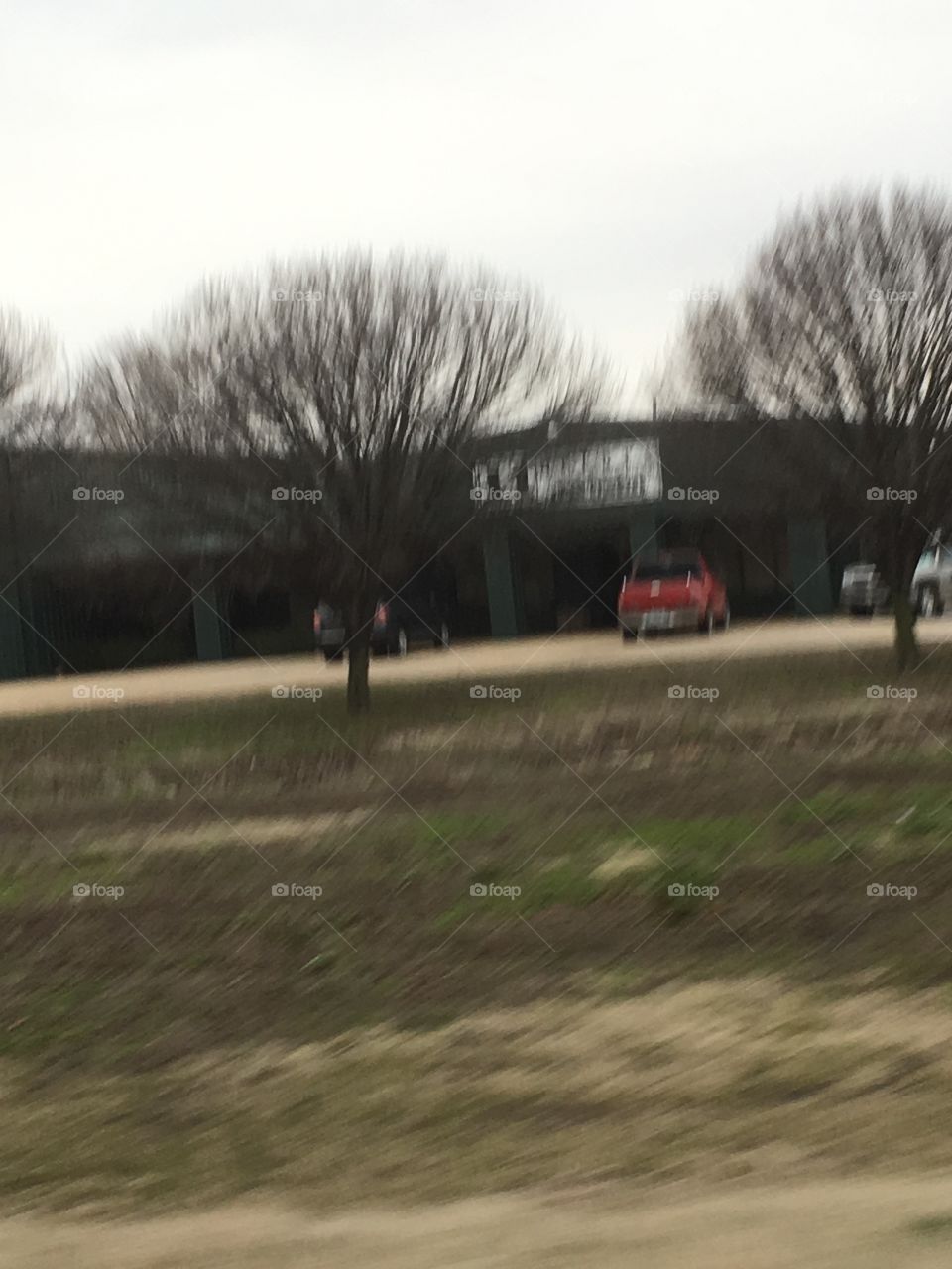 Landscape, Tree, Road, Weather, Winter