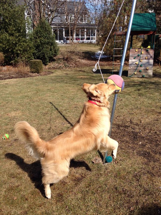 Tether ball