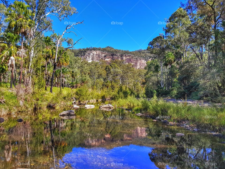 carnarvon gorge