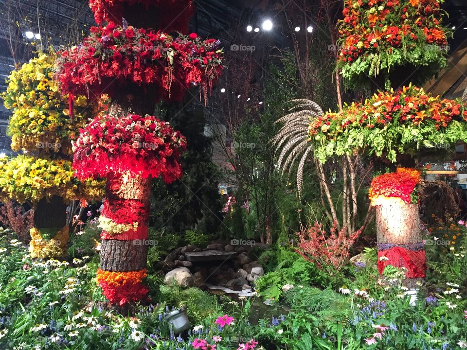 Welcome to the Philly Flower Show