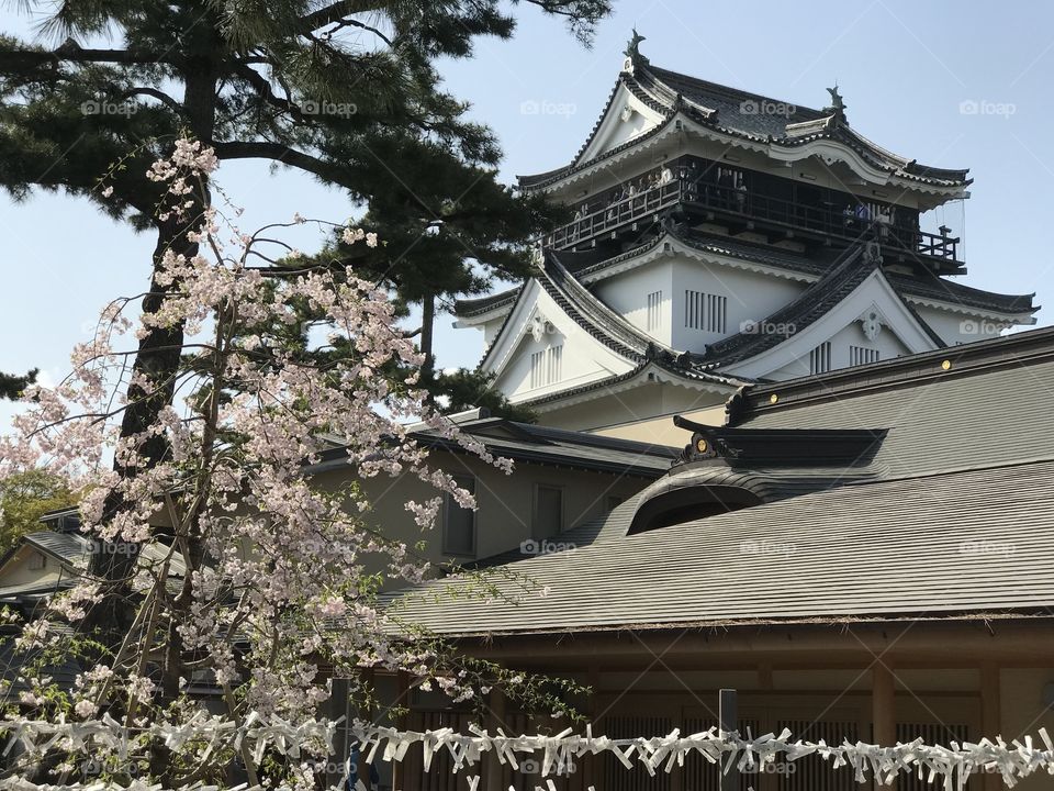 Okazaki temple japan