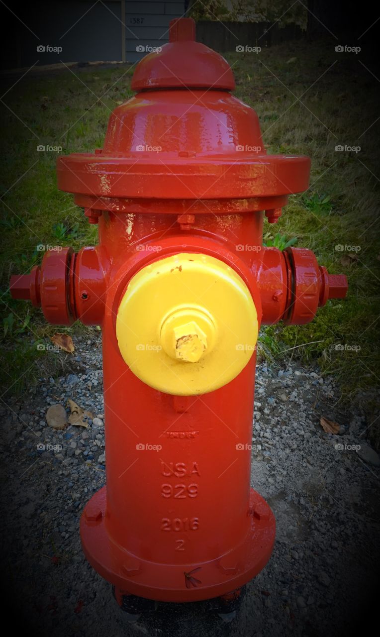 Yellow Fire Hydrant Plug