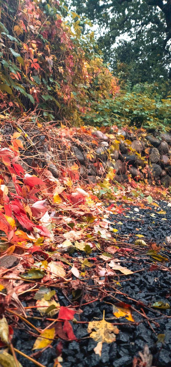 Road to Autumn