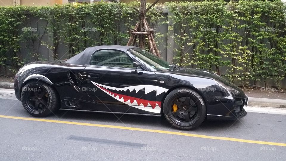 Porsche - shark's