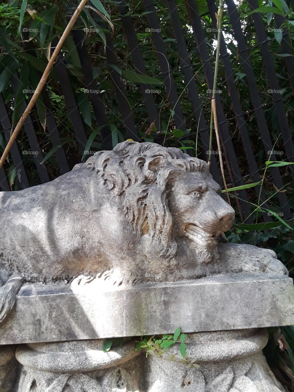 Lion statue created to keep watch over the Maymont park in Richmond, Virginia.